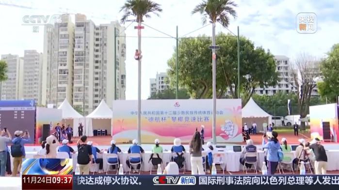零距离见证攀椰竞速：海南三亚椰树之巅的极限