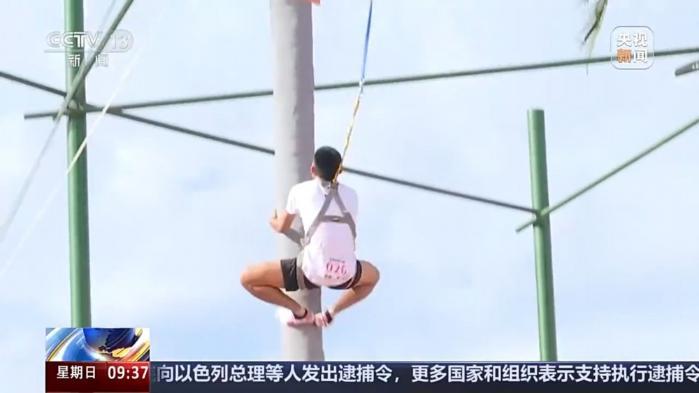 零距离见证攀椰竞速：海南三亚椰树之巅的极限
